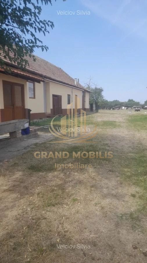 Casă individuală Dudeștii Noi | 2.526 mp teren | Pivniță - imaginea 7