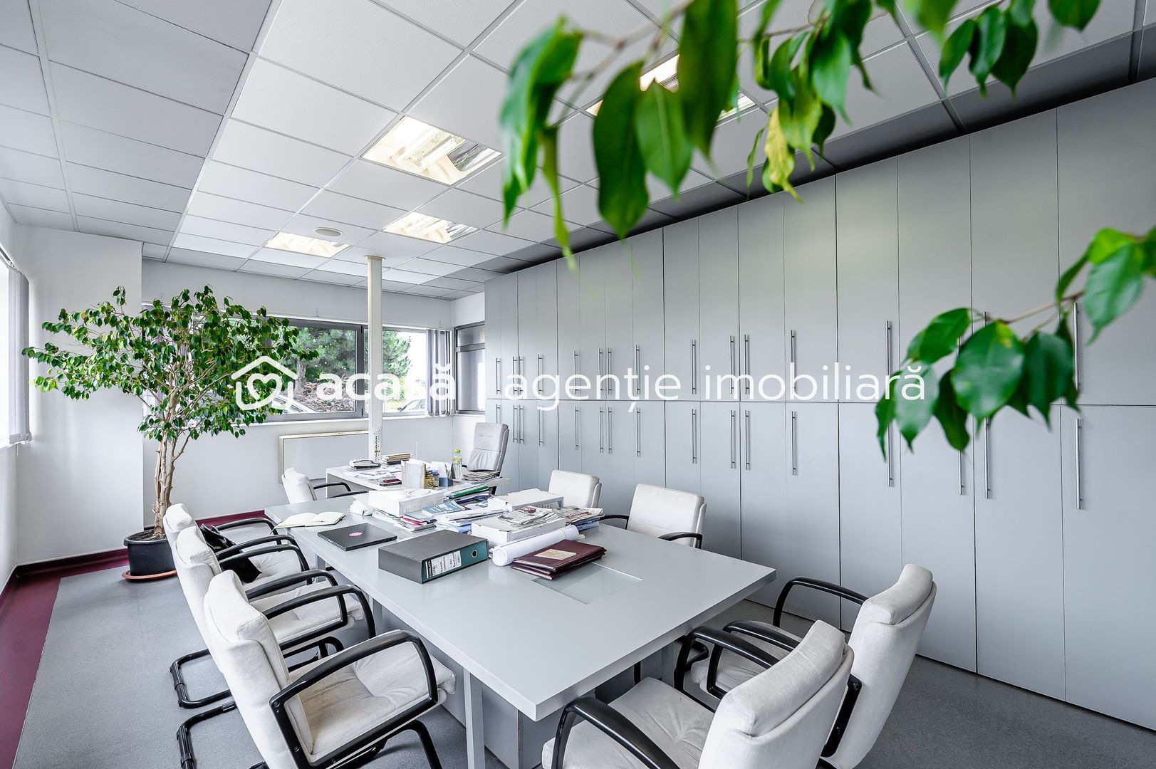 Imagine 4 - Oportunitate: Hală de producție și depozitare cu birouri în Arad