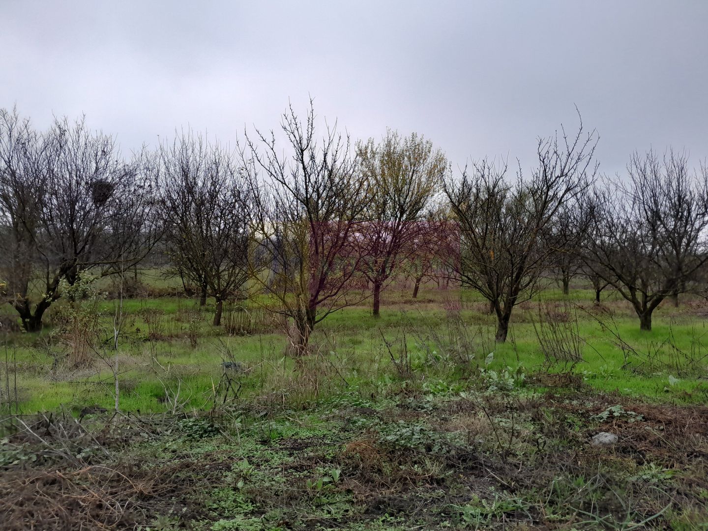 De vanzare casa +teren 16k mp in BARCANESTI / IL
