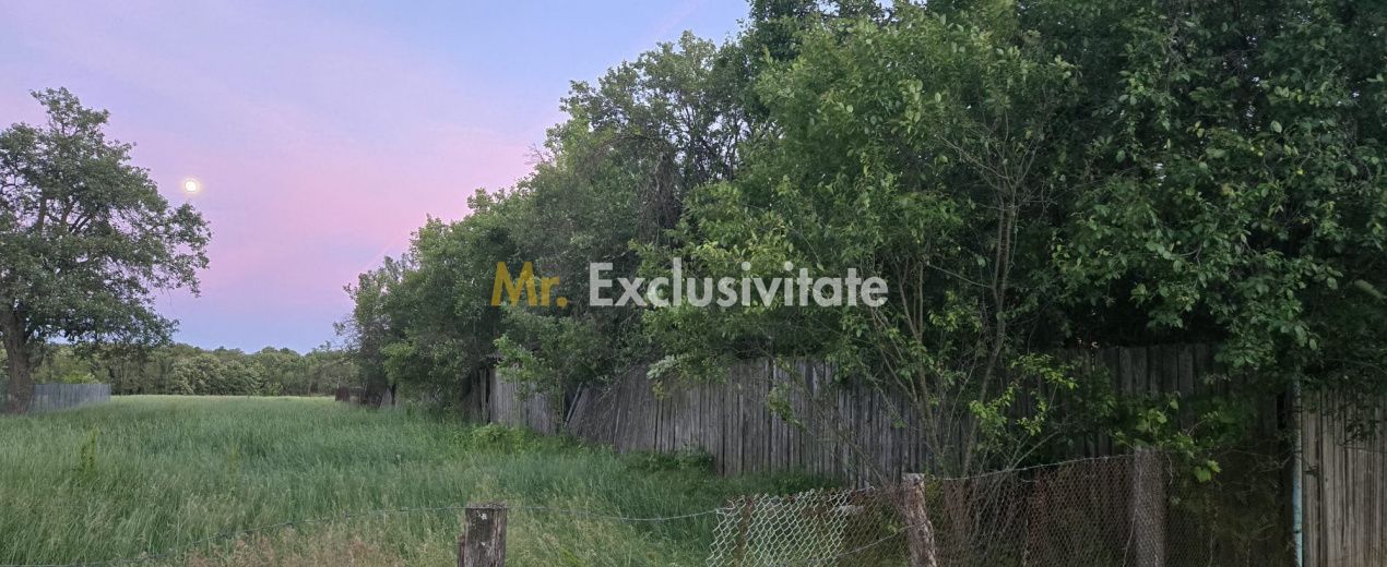 Casă cu 7.769 mp teren și pădure | Budieni | 53.000€ - imaginea 4