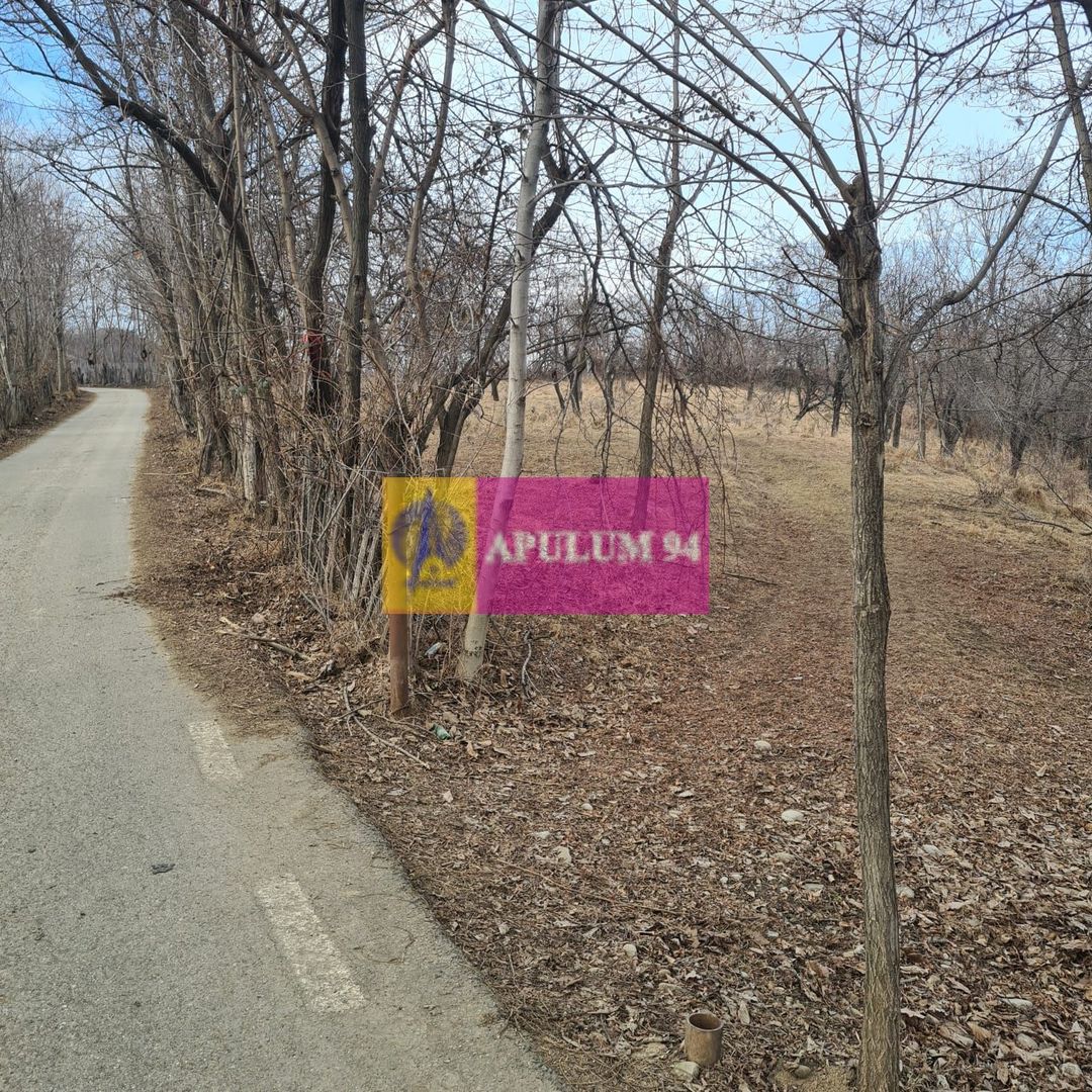 Teren intravilan de vanzare in Cornu de Jos