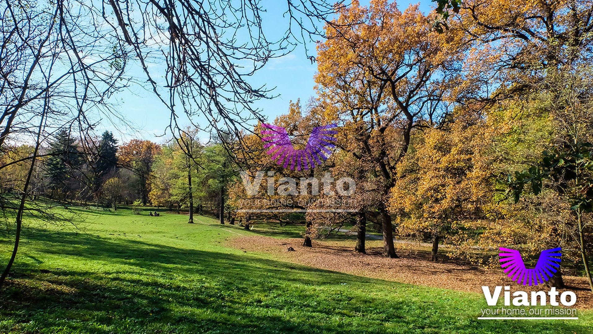 Apartament 2 camere | Valea Aurie | Aproape de Parcul Sub Arini