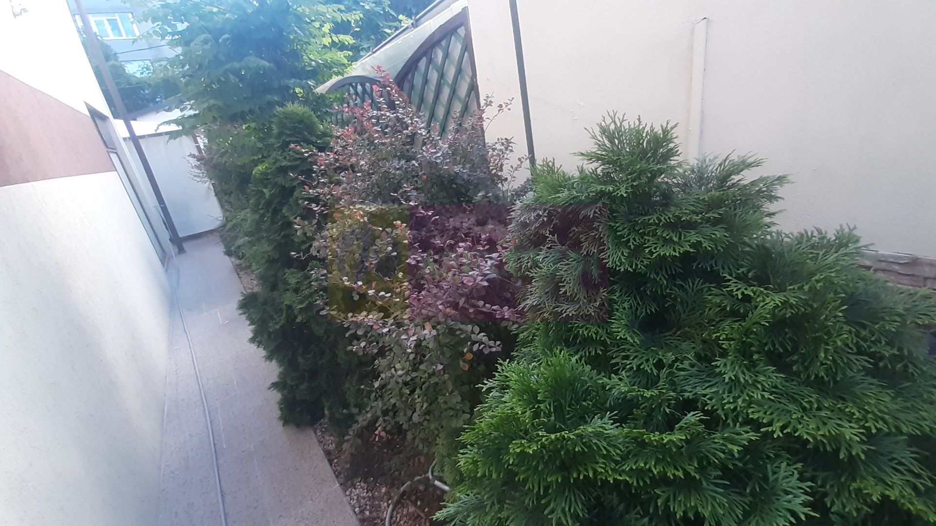 Casa perfectă în București
