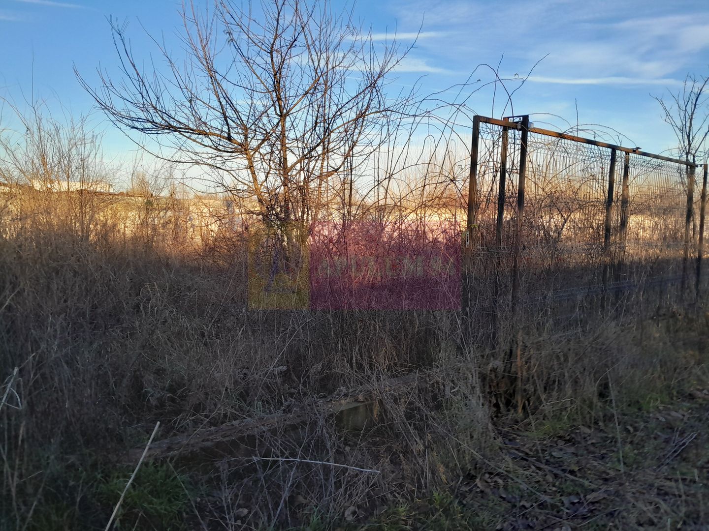 OCAZIE!!! vanzare teren 500 mp Giulesti