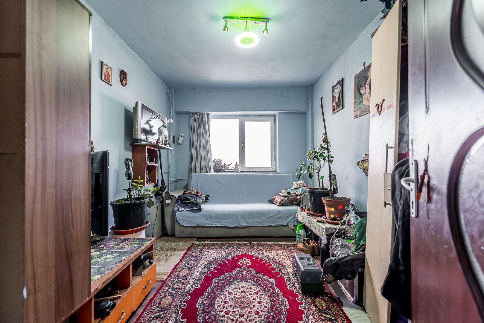 Imagine 12 - Apartament cu 5 camere pe Splaiul General Gheorghe Magheru, Micălaca