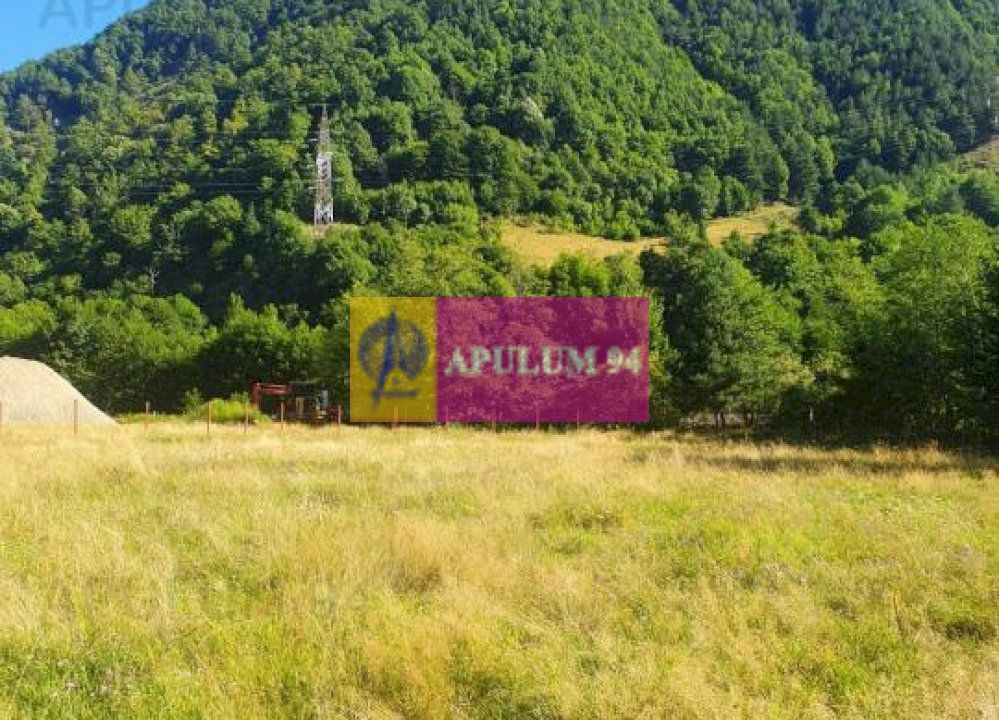 Teren Județul Vâlcea - Brezoi, Valea lui Stan