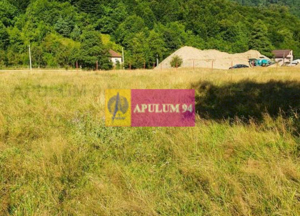 Teren Județul Vâlcea - Brezoi, Valea lui Stan