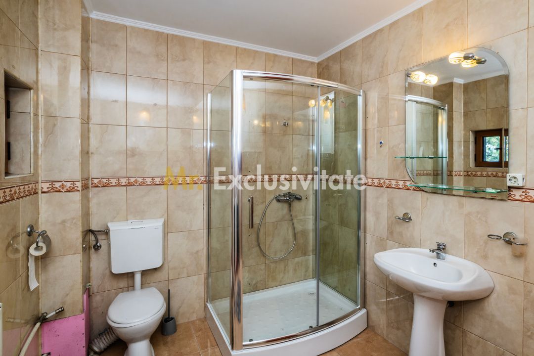 Proprietate premium vis-a-vis de noul Stadion Nicolae Dobrin - imaginea 29