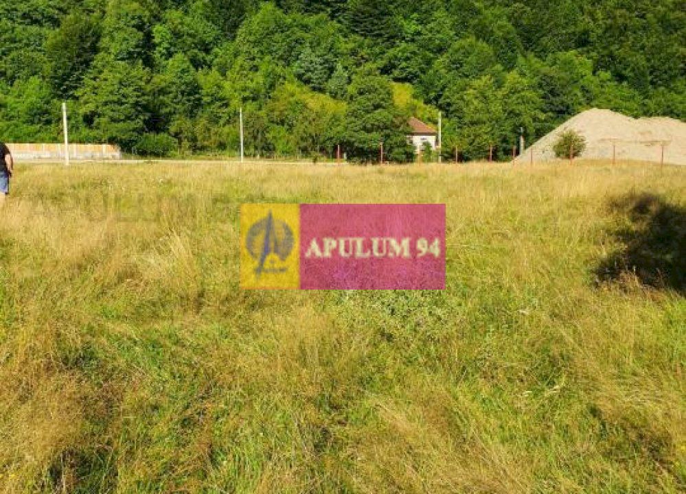 Teren Județul Vâlcea - Brezoi, Valea lui Stan