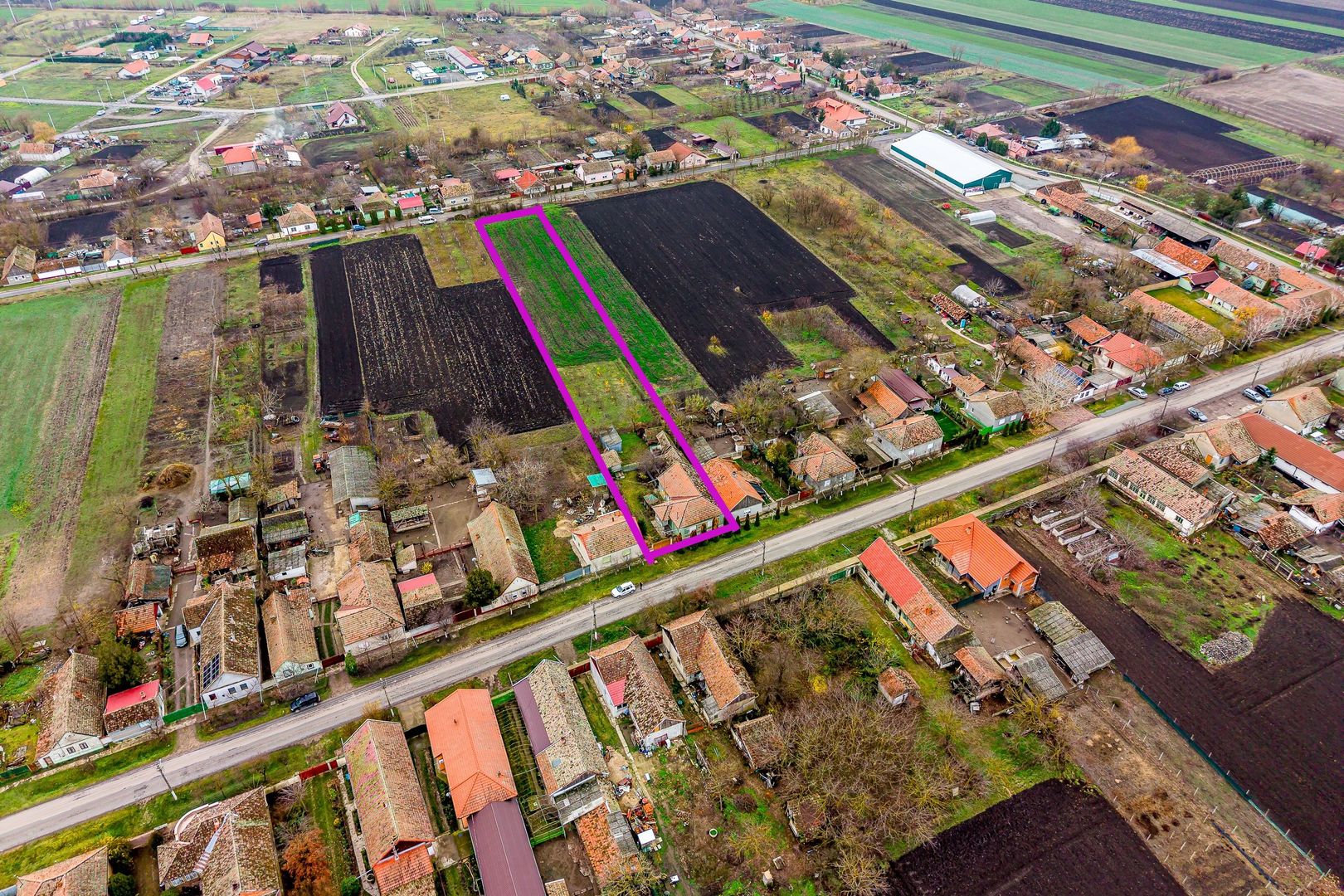 Casă în Dorobanți cu livadă + curte 2500 mp