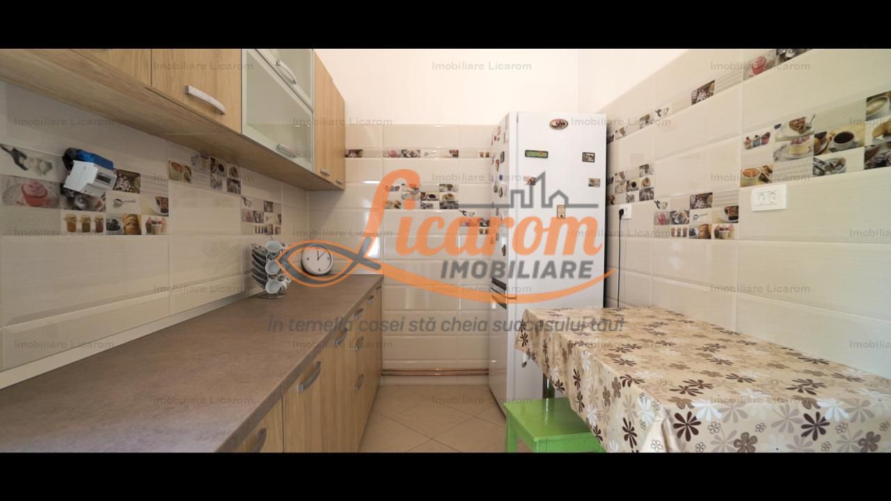 Oferta Conac boieresc P+M,teren 20400 mp - imaginea 7