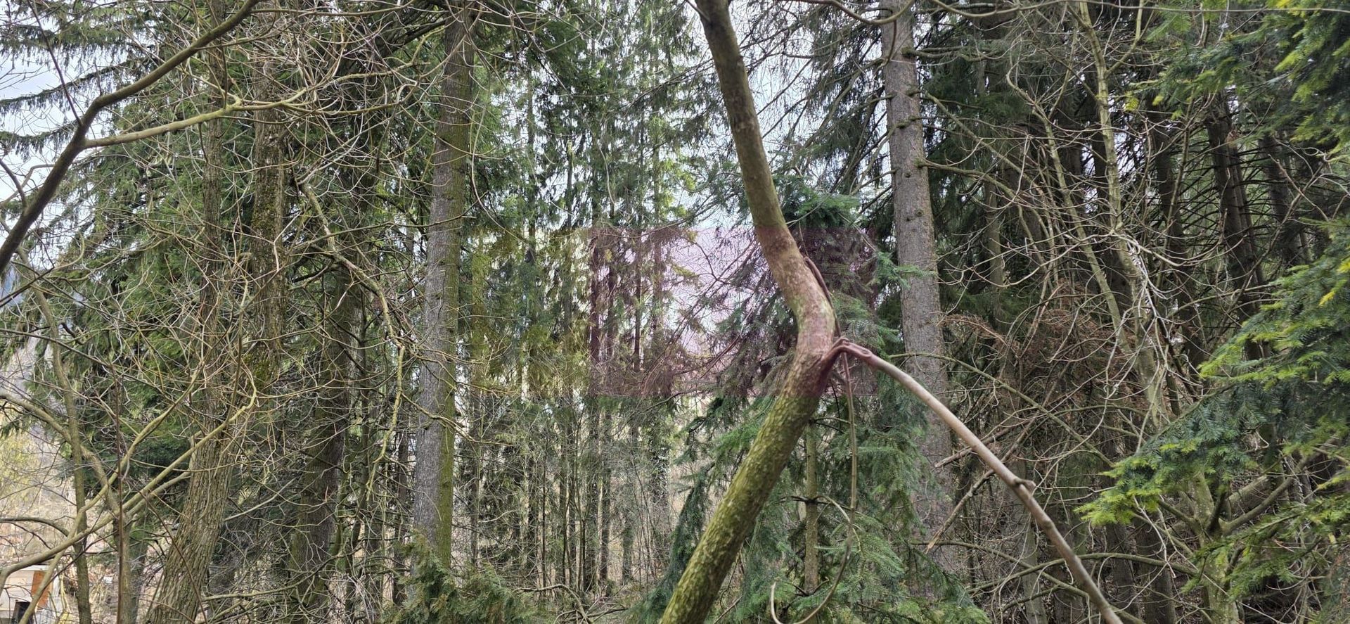 Etaj vilă istorică de vânzare în Sinaia – Zona Furnica