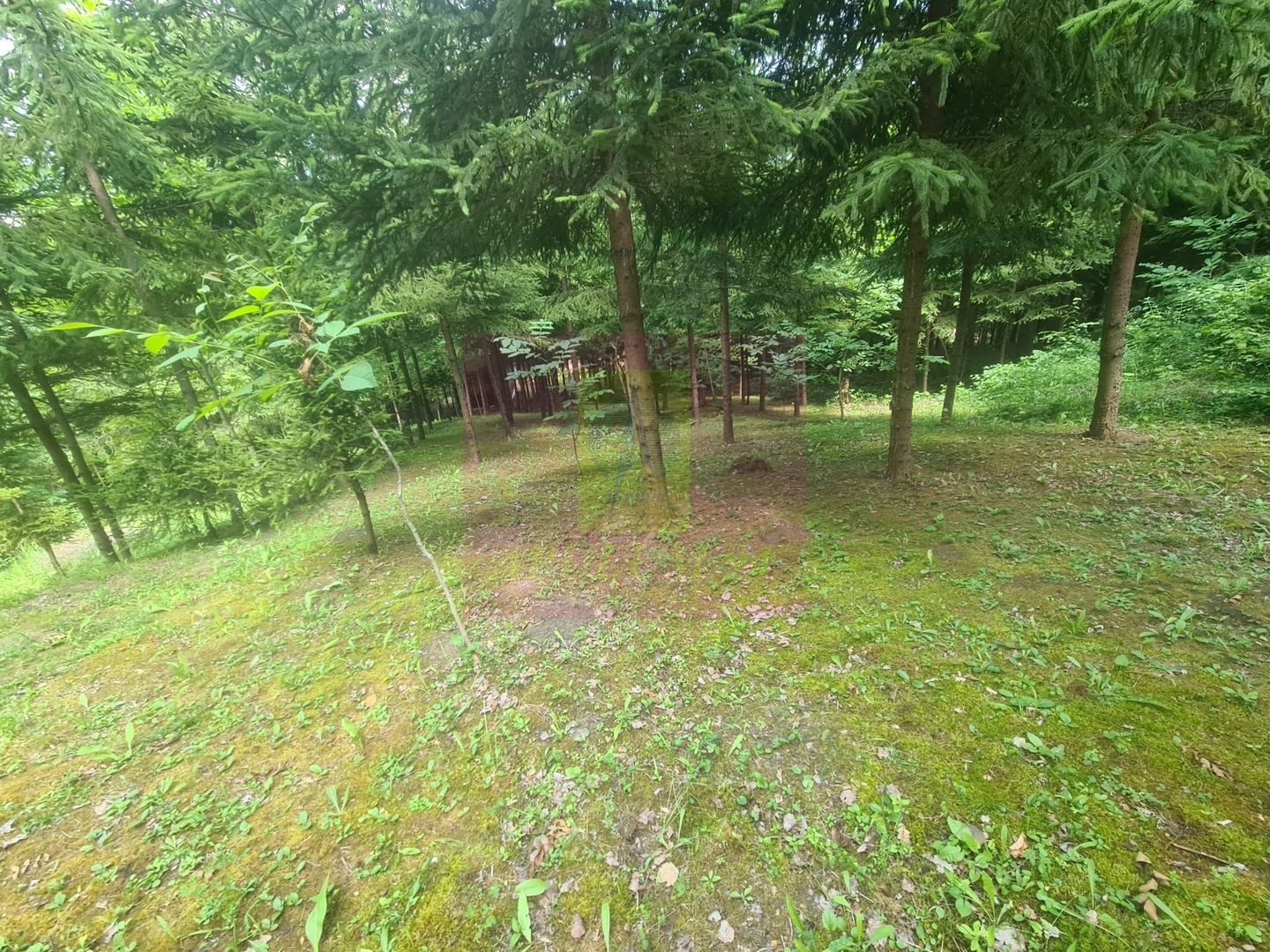 Vila de vanzare in Campina - Zona Lunca Mare
