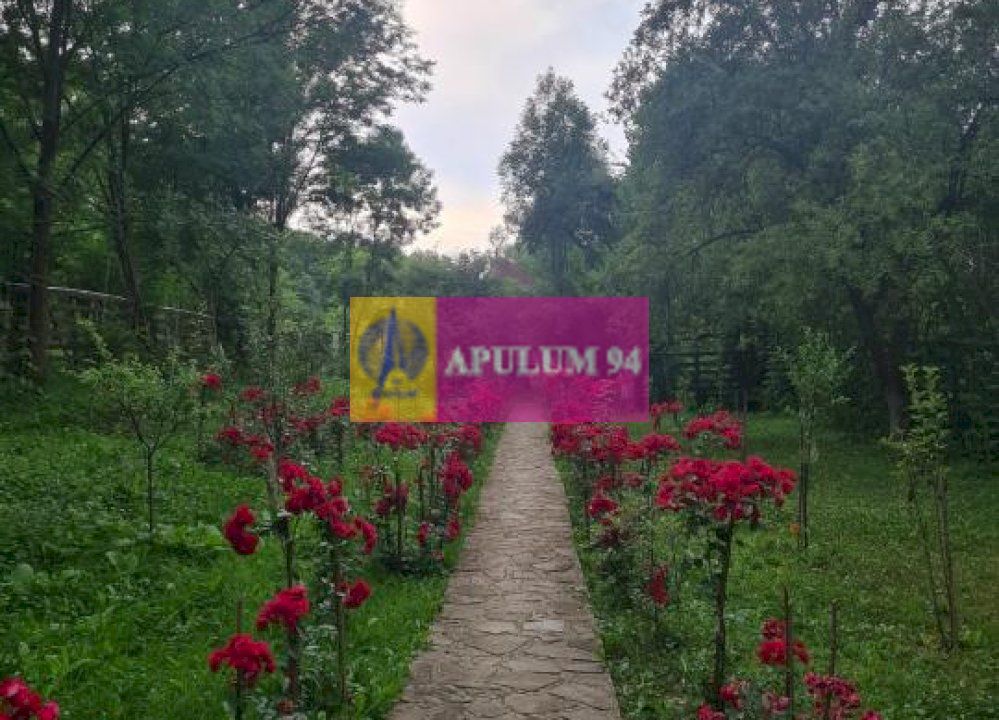 Casă de vânzare în Provița de Jos