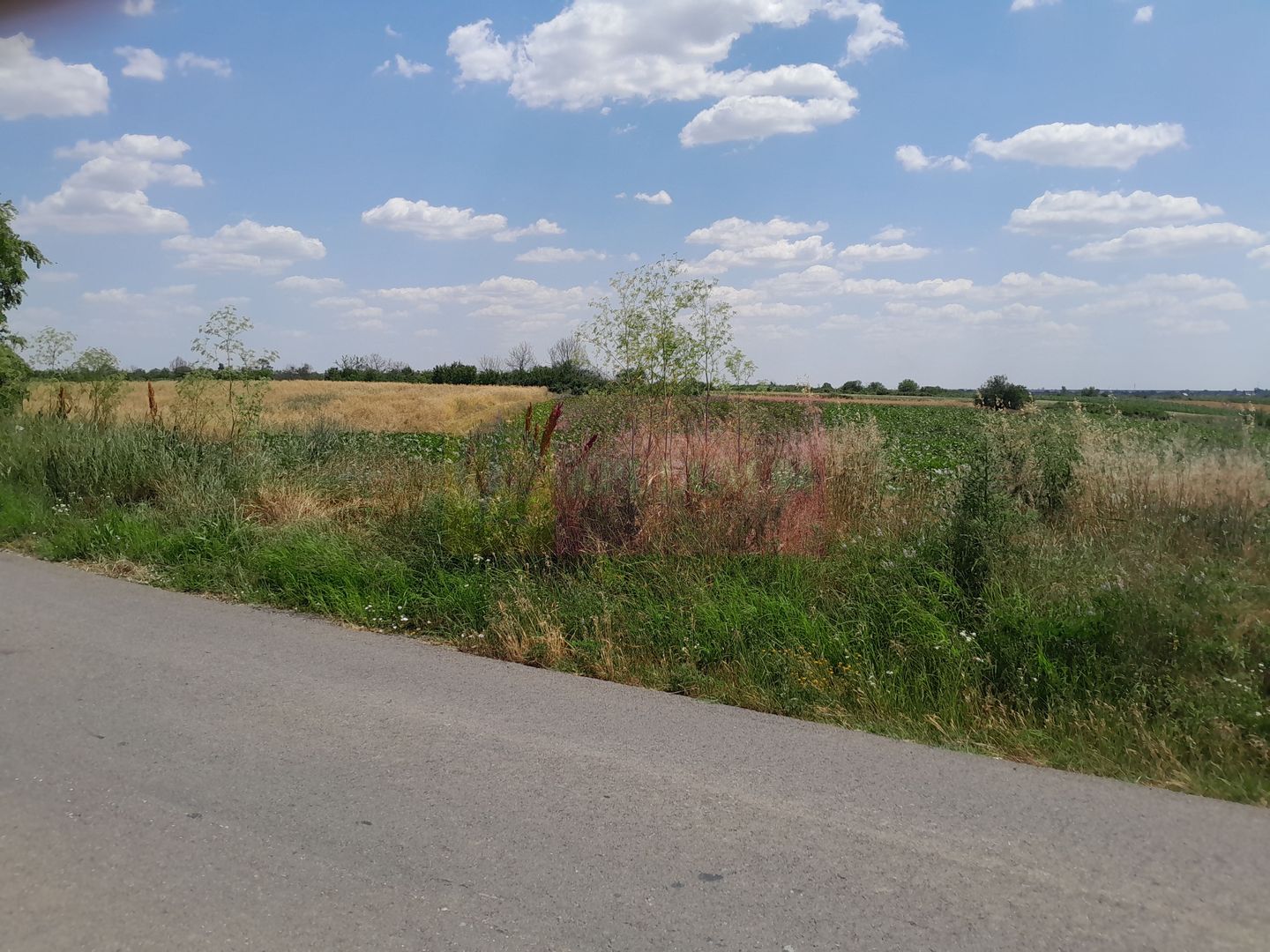 DE VANZARE 2 LOTURI LIPITE (TOTAL 16.500 MP) IN SAT TEISORI (GR)