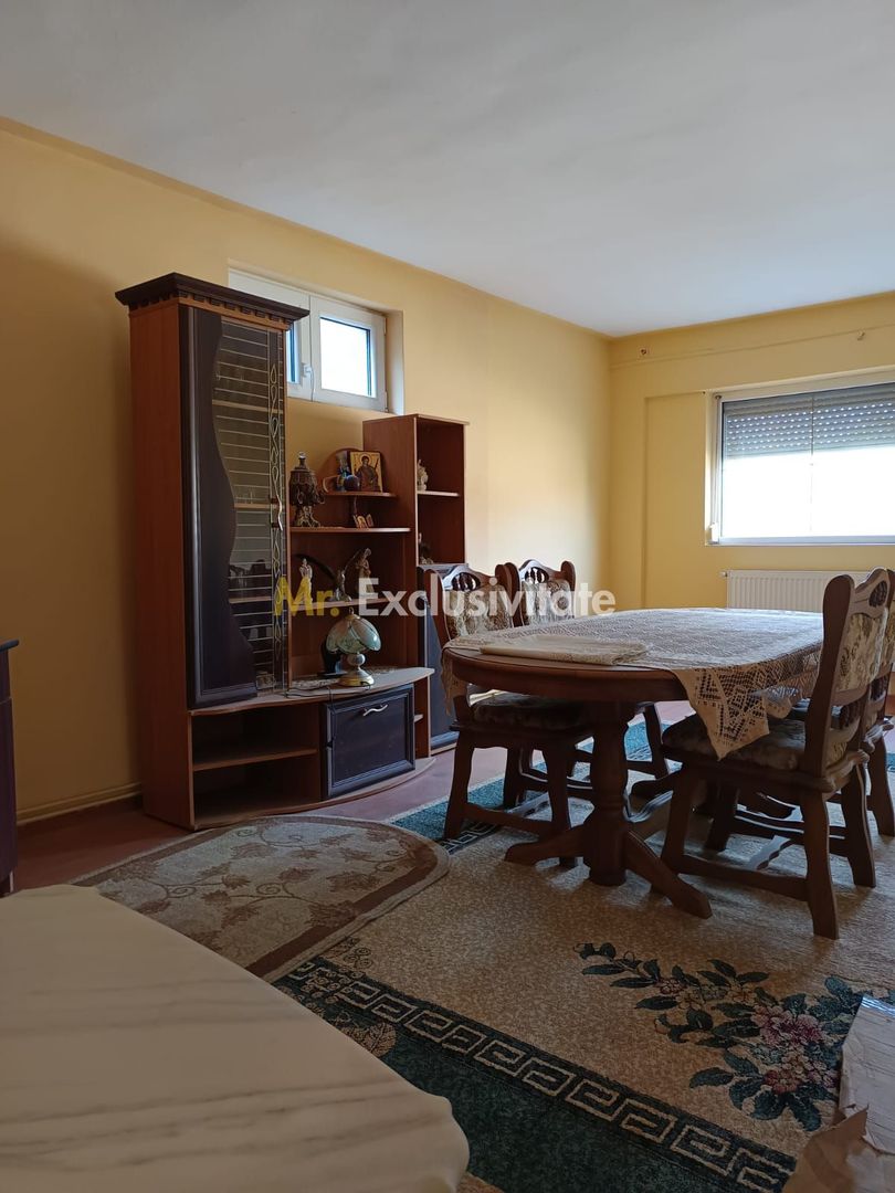 Vilă P+E de vânzare în Valea lui Mihai – 233 mp, teren 733 mp - imaginea 10