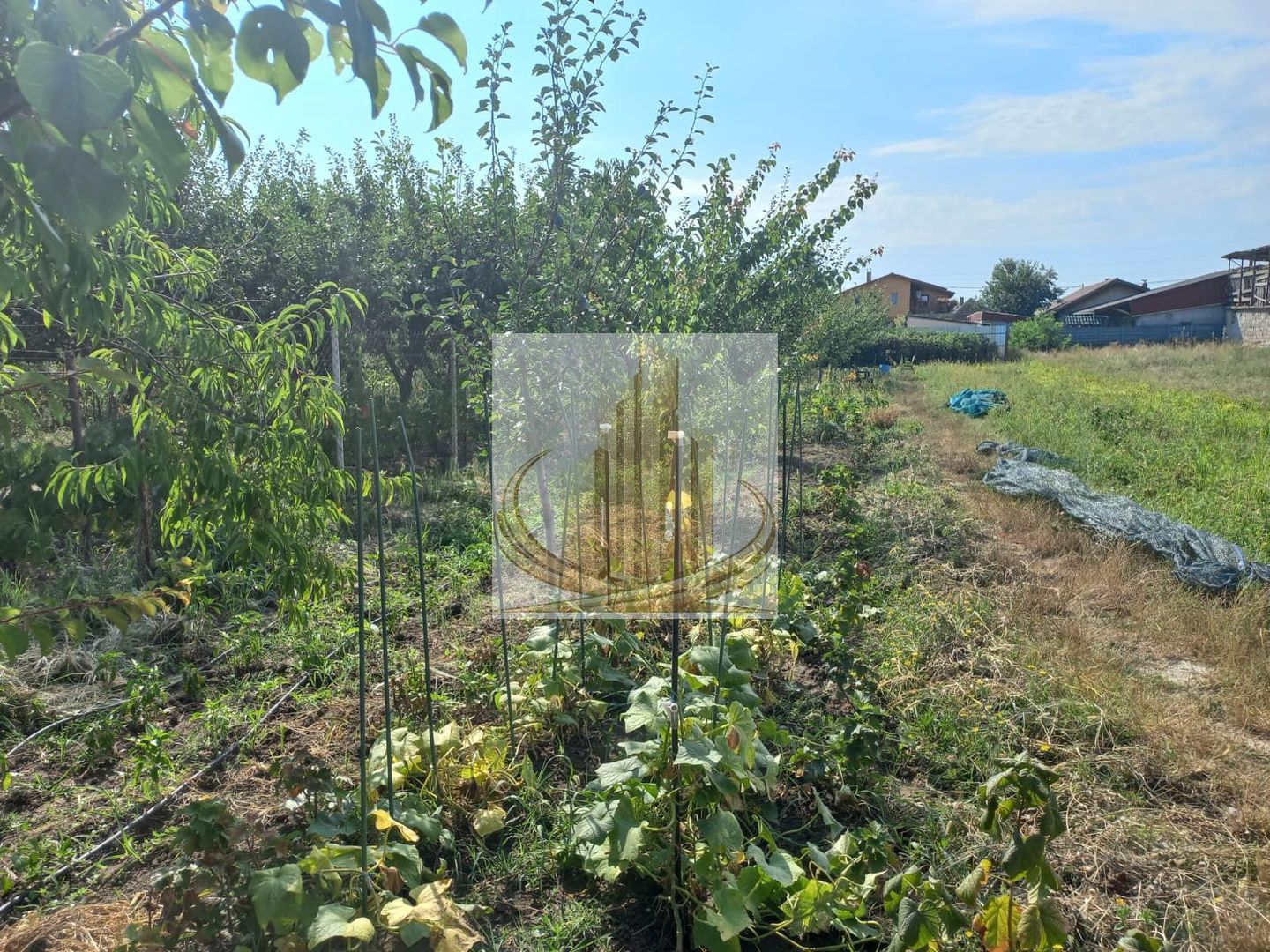 Casă individuală Plopi, 75 mp, teren 1.365 mp, 2 corpuri - imaginea 10