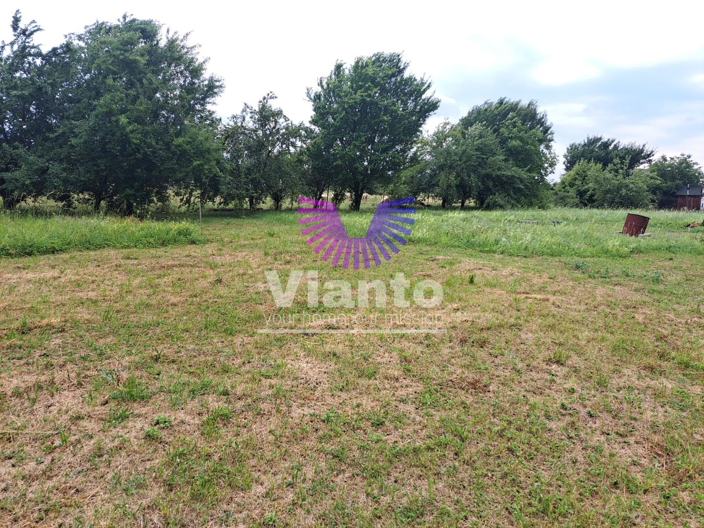 Teren intravilat| Zona rezidentila 1156 mp-TURNISOR