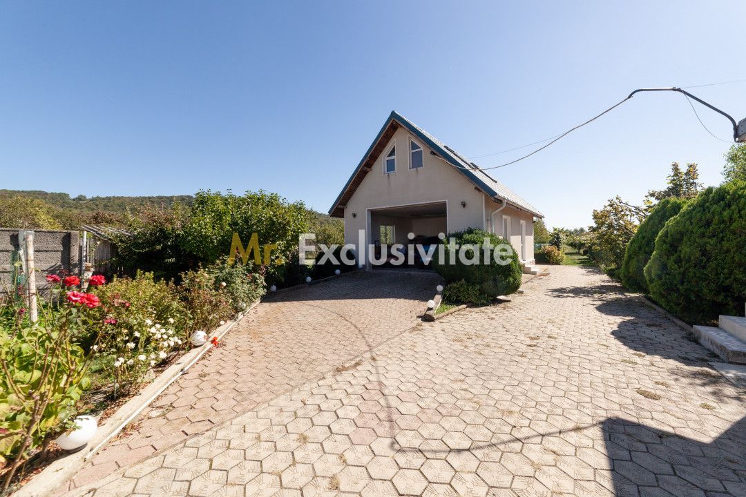 Casa visurilor cu 4000 mp livada roditoare si gradina Darmanesti-Arges - imaginea 16