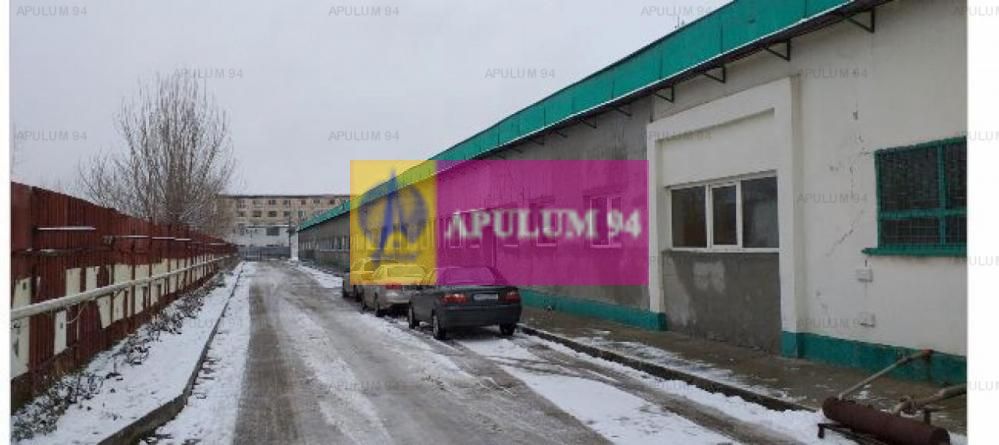 Hala productie 23 August.