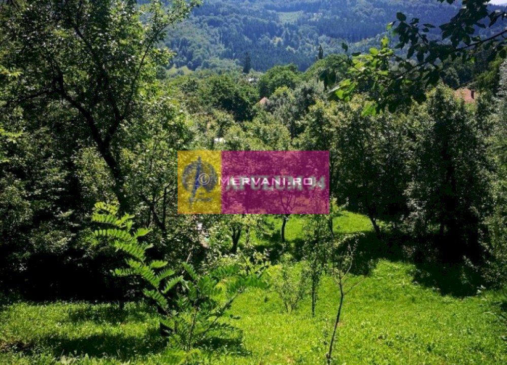 Teren de vanzare in Comarnic (zona Poiana)