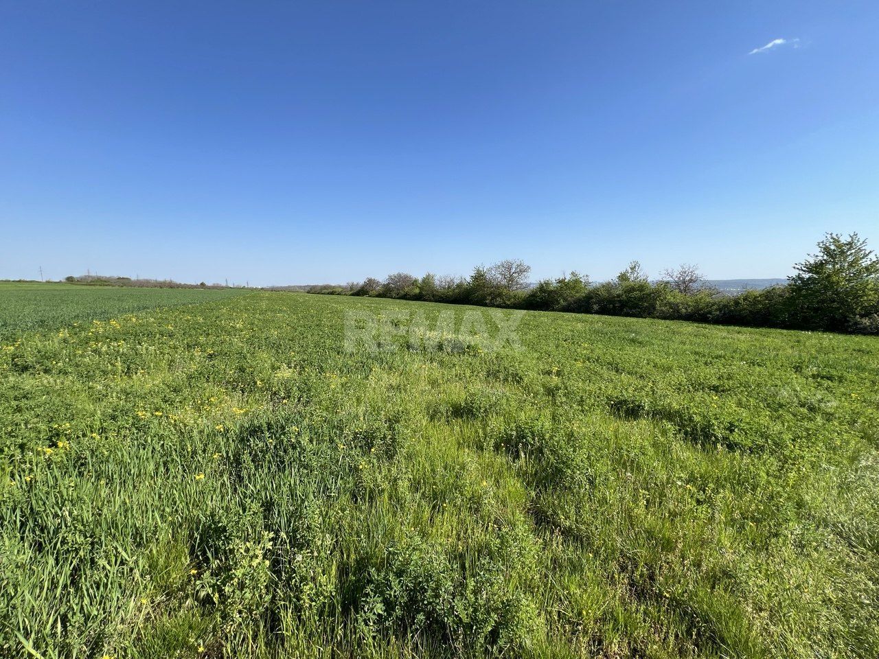 Teren agricol de 40 ari în Ghidighici – oportunitate pentru investiție sau activitate agricolă - imaginea 3