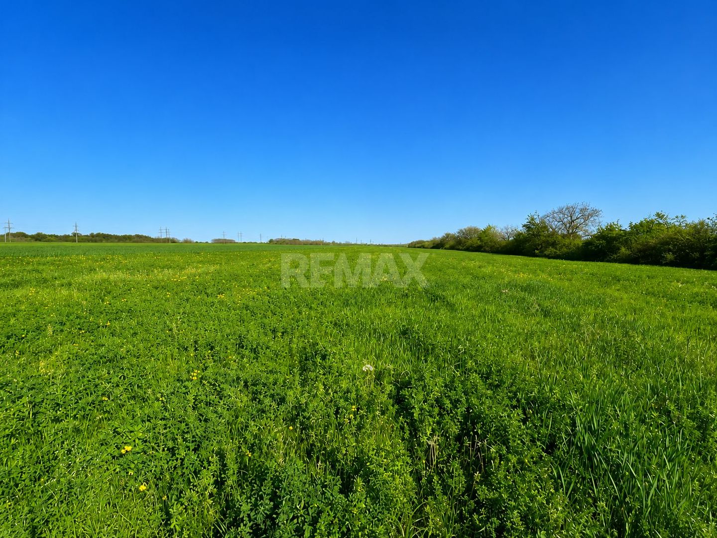 Teren agricol de 40 ari în Ghidighici – oportunitate pentru investiție sau activitate agricolă - imaginea 2