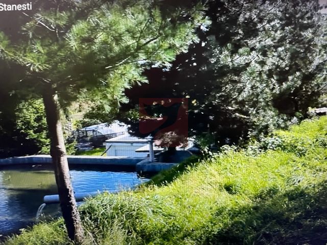 O proprietate de exceptie la Corbi, 18 ha, izvor, lac, pastravarie - imaginea 12