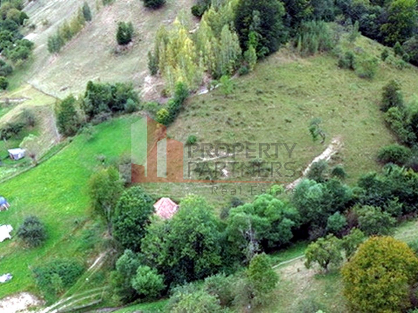 Teren de investiție în Moieciu, lângă Castelul Bran – 11.381 mp, vedere Bucegi - imaginea 20