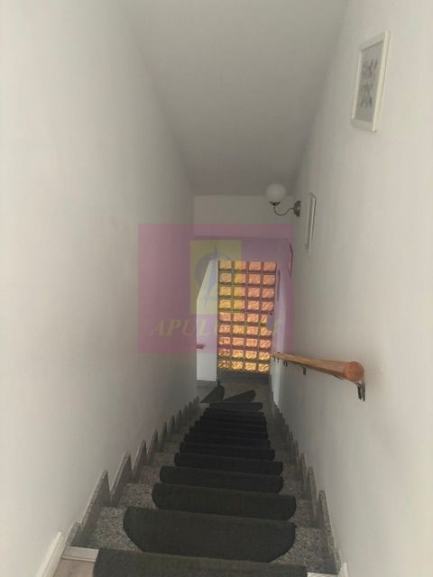Vila D+P+1+M cu teren 446 mp Drumul Sarii. - imaginea 5