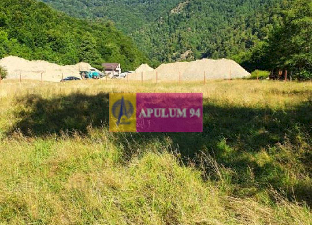 Teren Județul Vâlcea - Brezoi, Valea lui Stan