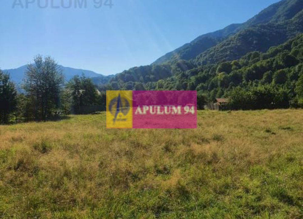 Teren Județul Vâlcea - Brezoi, Valea lui Stan