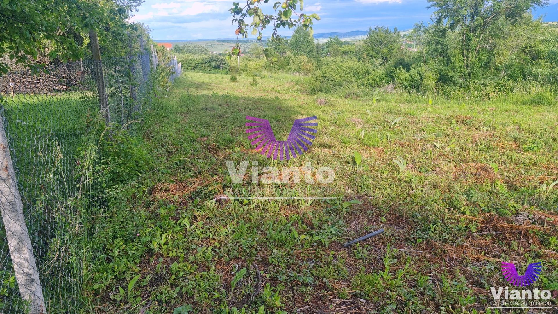 Teren Intravilan 1000mp-Zona Daia