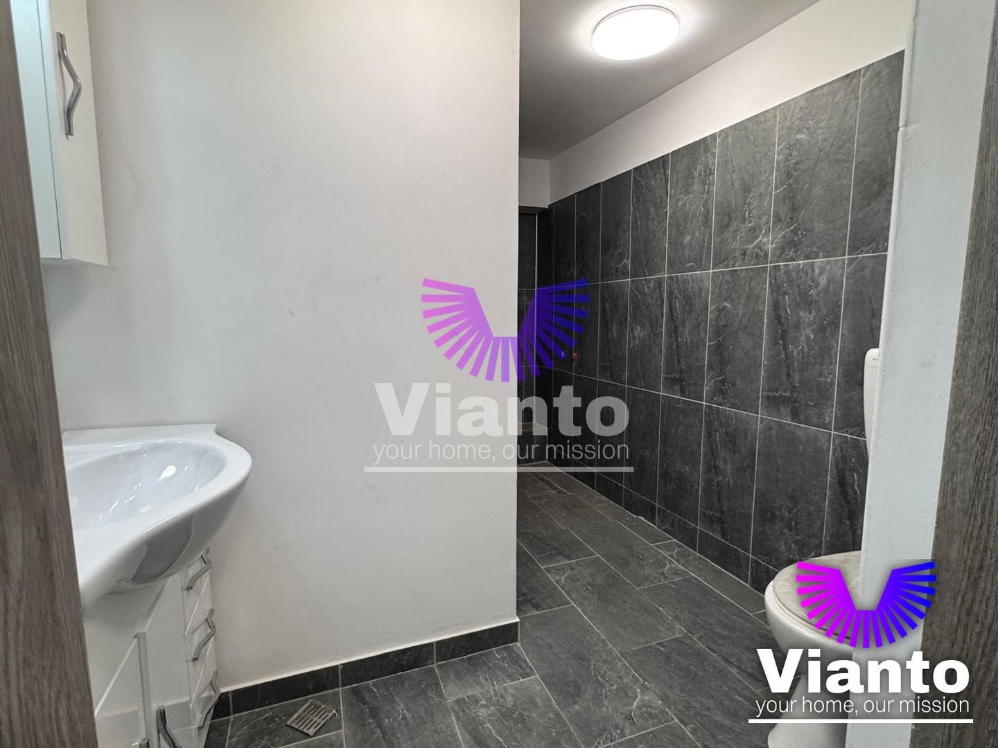 Spatiu comercial vizibilitate stradala 60 mp| Terezian