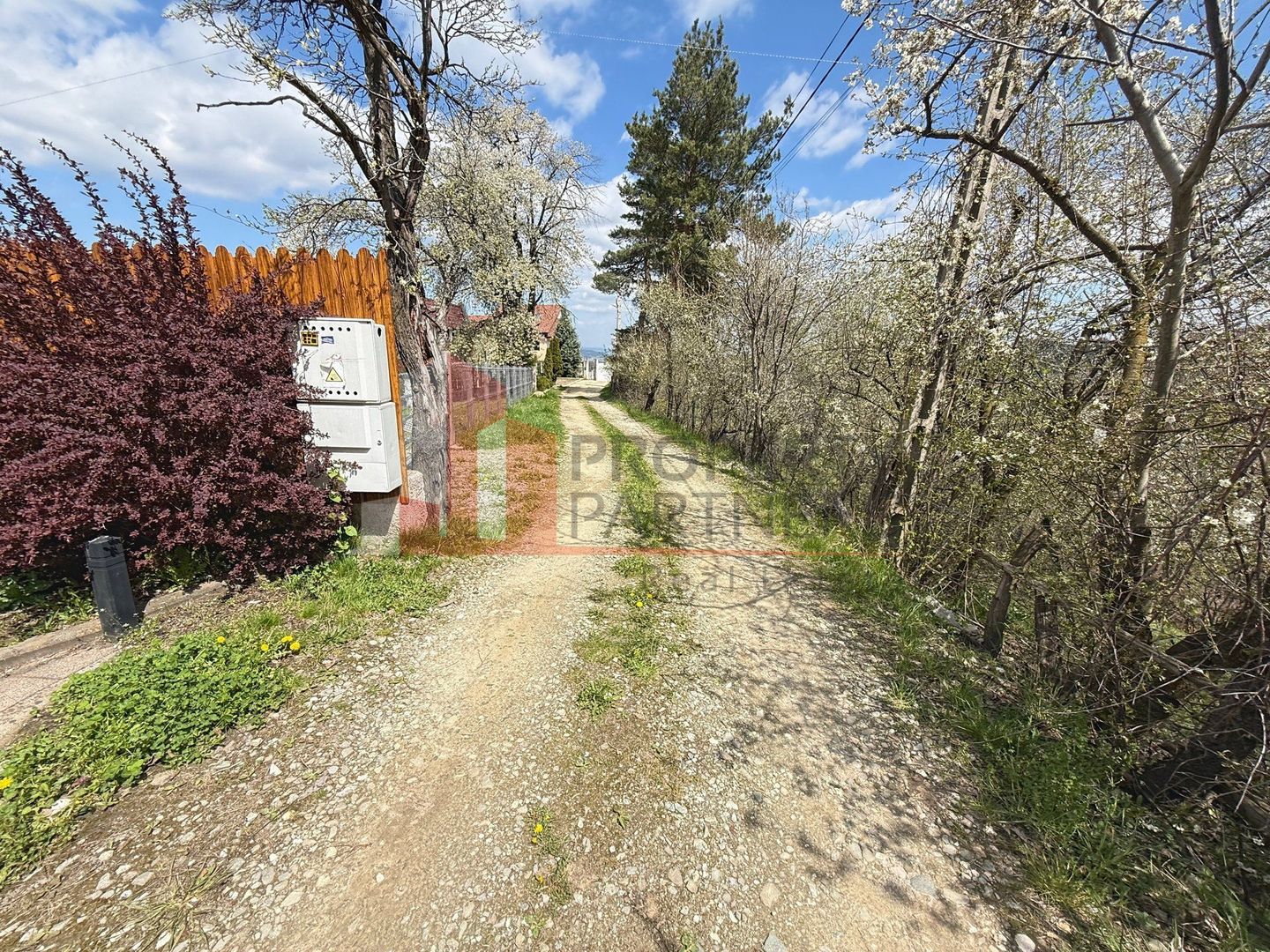 Casă 5 dormitoare + casă de oaspeți, priveliște Piatra Craiului, Sohodol-Bran - imaginea 41