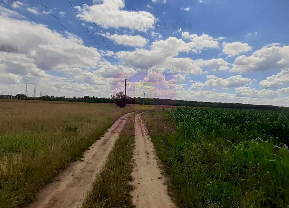Teren 715mp în Snagov lângă Equestria