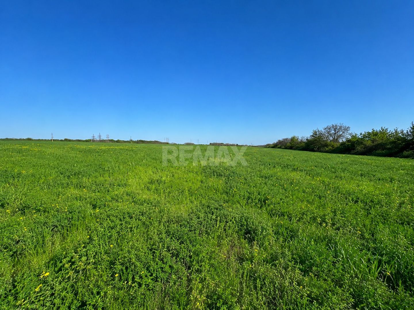 Teren agricol de 40 ari în Ghidighici – oportunitate pentru investiție sau activitate agricolă - imaginea 4