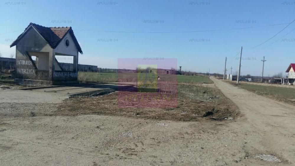Teren Balotesti- Saftica- ideal pentru constructie locuinte.