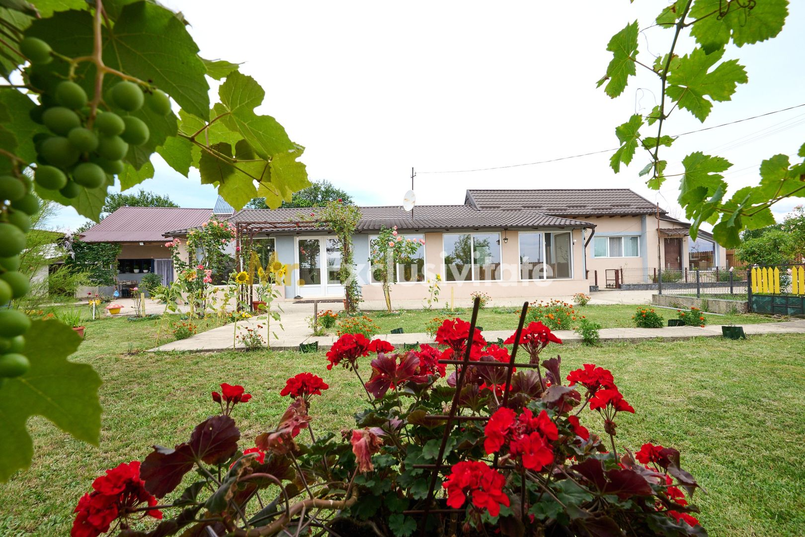 Casă cu teren generos – Vedea-Arges - imaginea 4