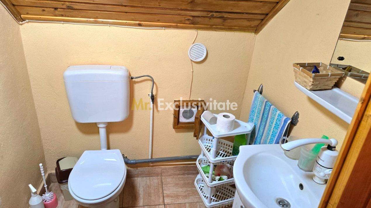 casa 3 camere Viile Satu Mare - imaginea 11
