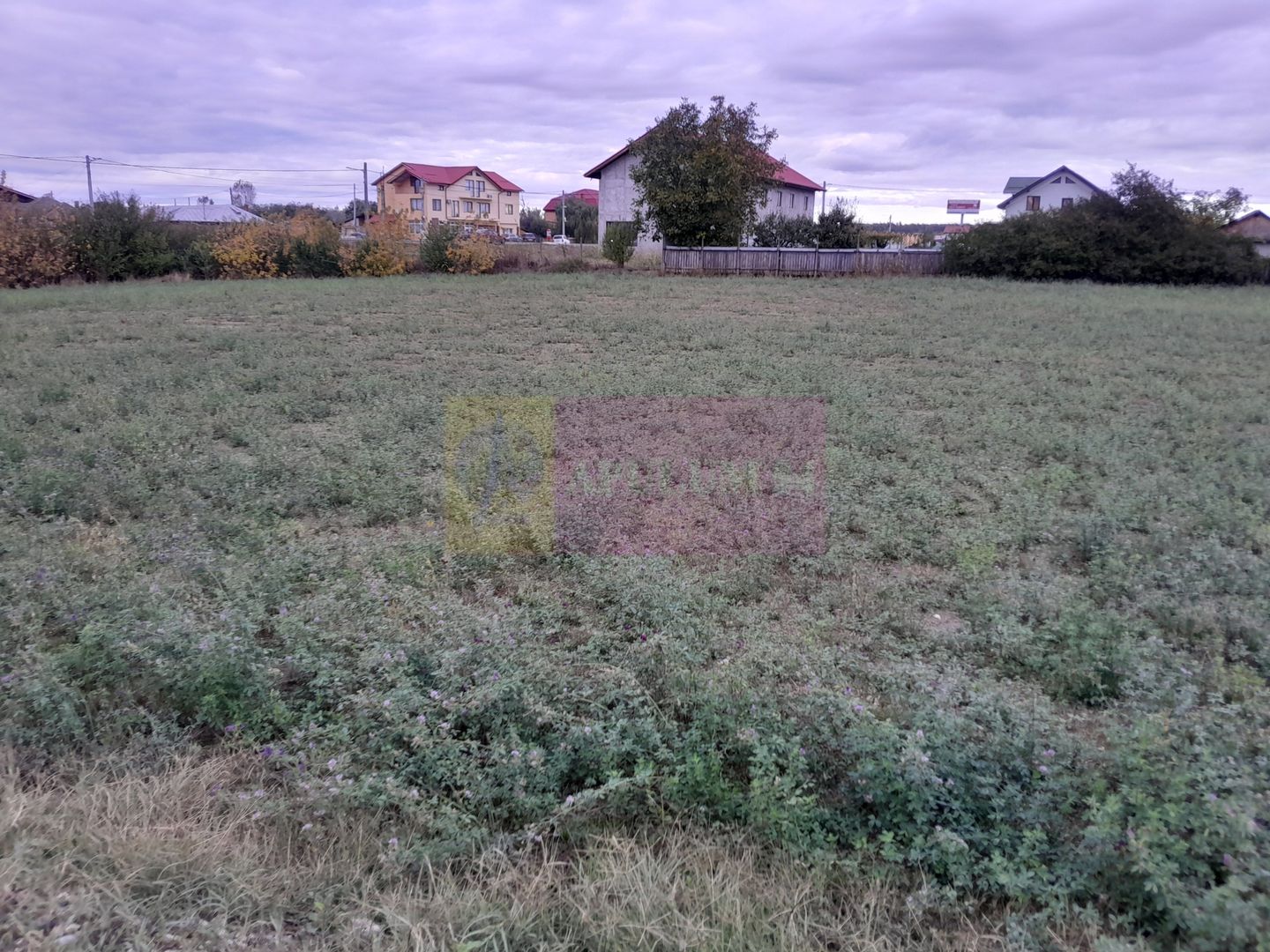 DE VANZARE TEREN 2000 MP  -  COSERENI( il )