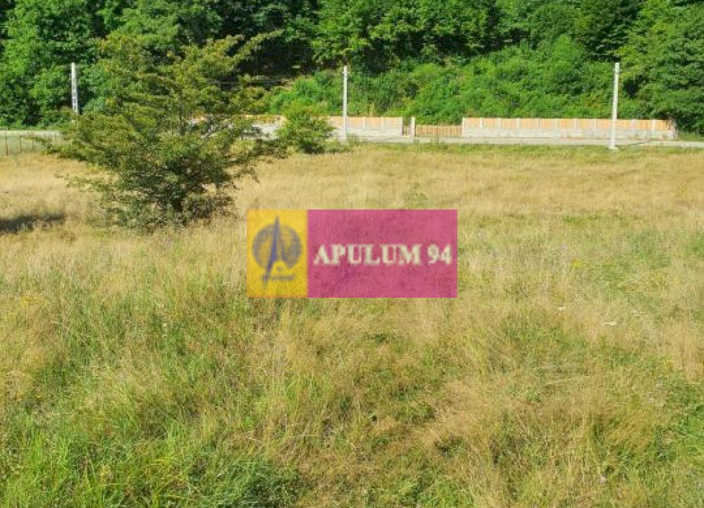 Teren Județul Vâlcea - Brezoi, Valea lui Stan