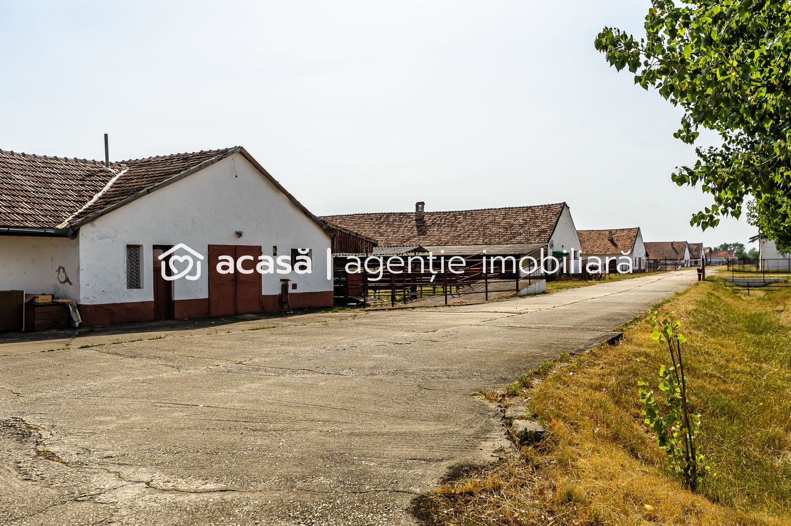 Imagine 3 - Fermă Mândruloc 2,5 ha