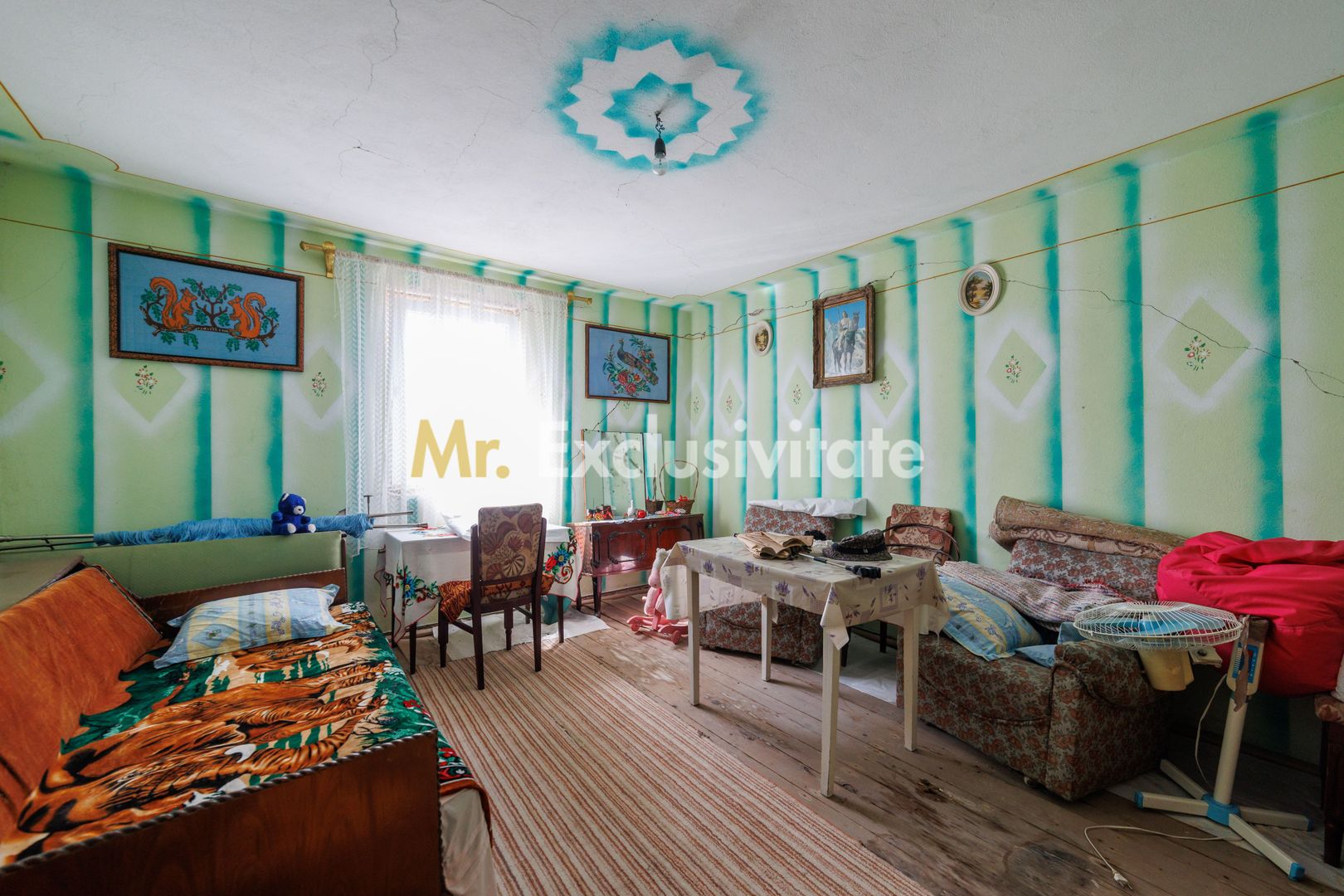 CASA SI GOSPODARIE DE VANZARE – SPINENI, OLT | 4.000 MP TEREN - imaginea 9