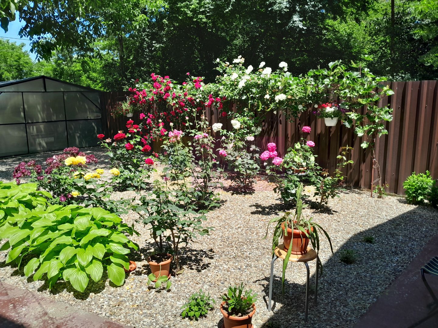 Movilita  (IL) - de vanzare casa 5 cam p+1