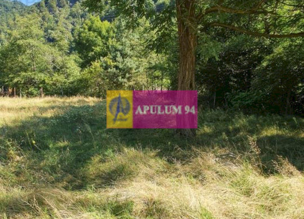 Teren Județul Vâlcea - Brezoi, Valea lui Stan