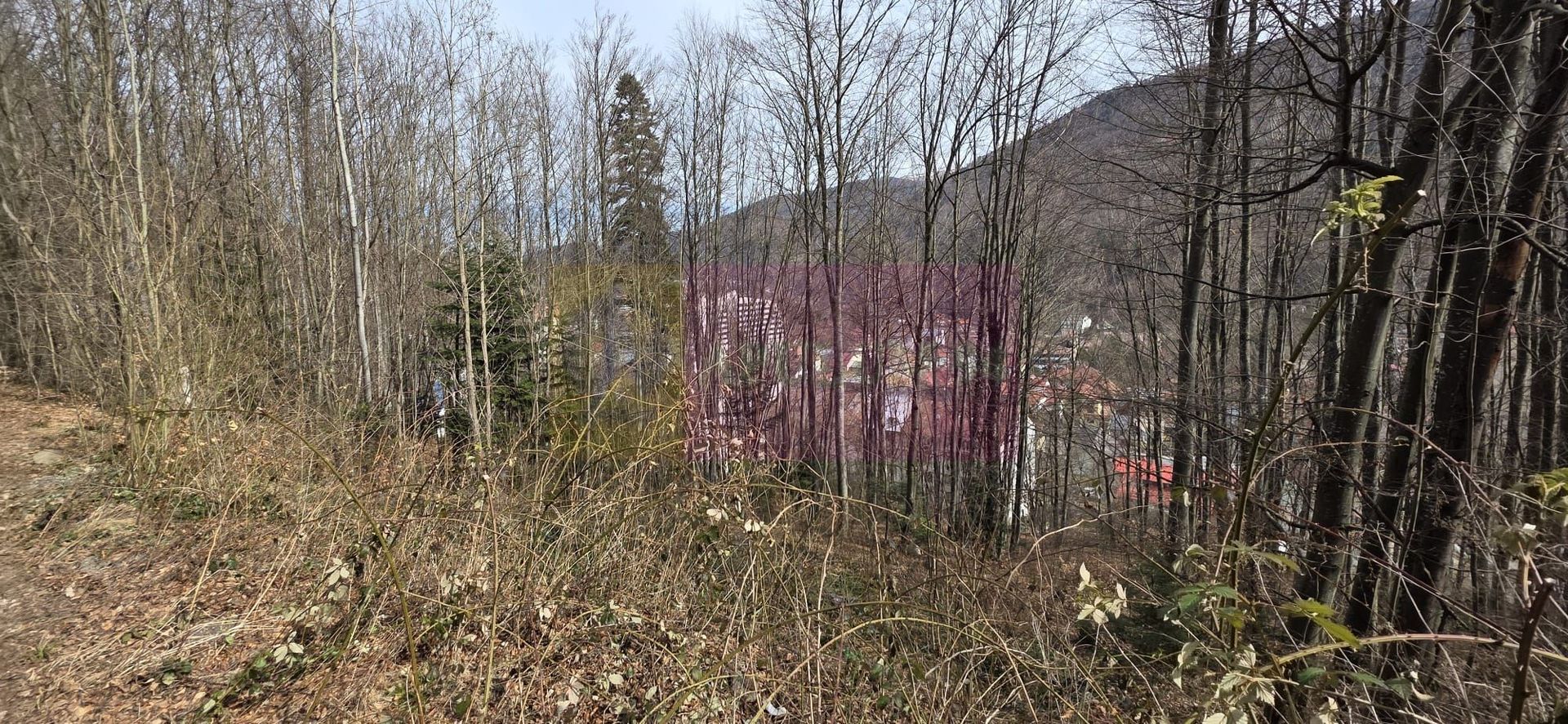 Tere intravilan de vanzare in Sinaia