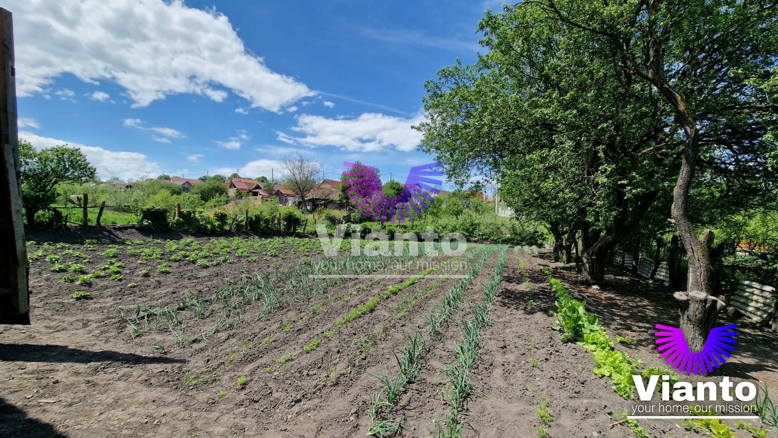 Casa Individuala 4 Camere cu Teren 2984 mp Sat Nou-Rosia