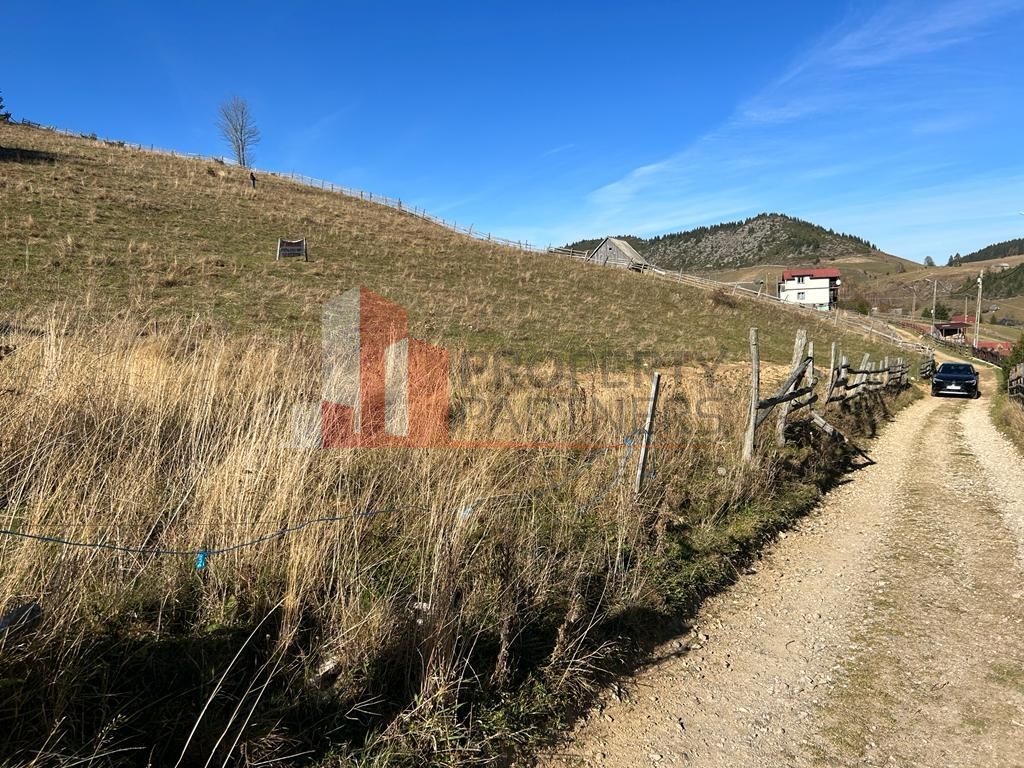 Teren Fundatica intravilan 4500 mp - imaginea 16