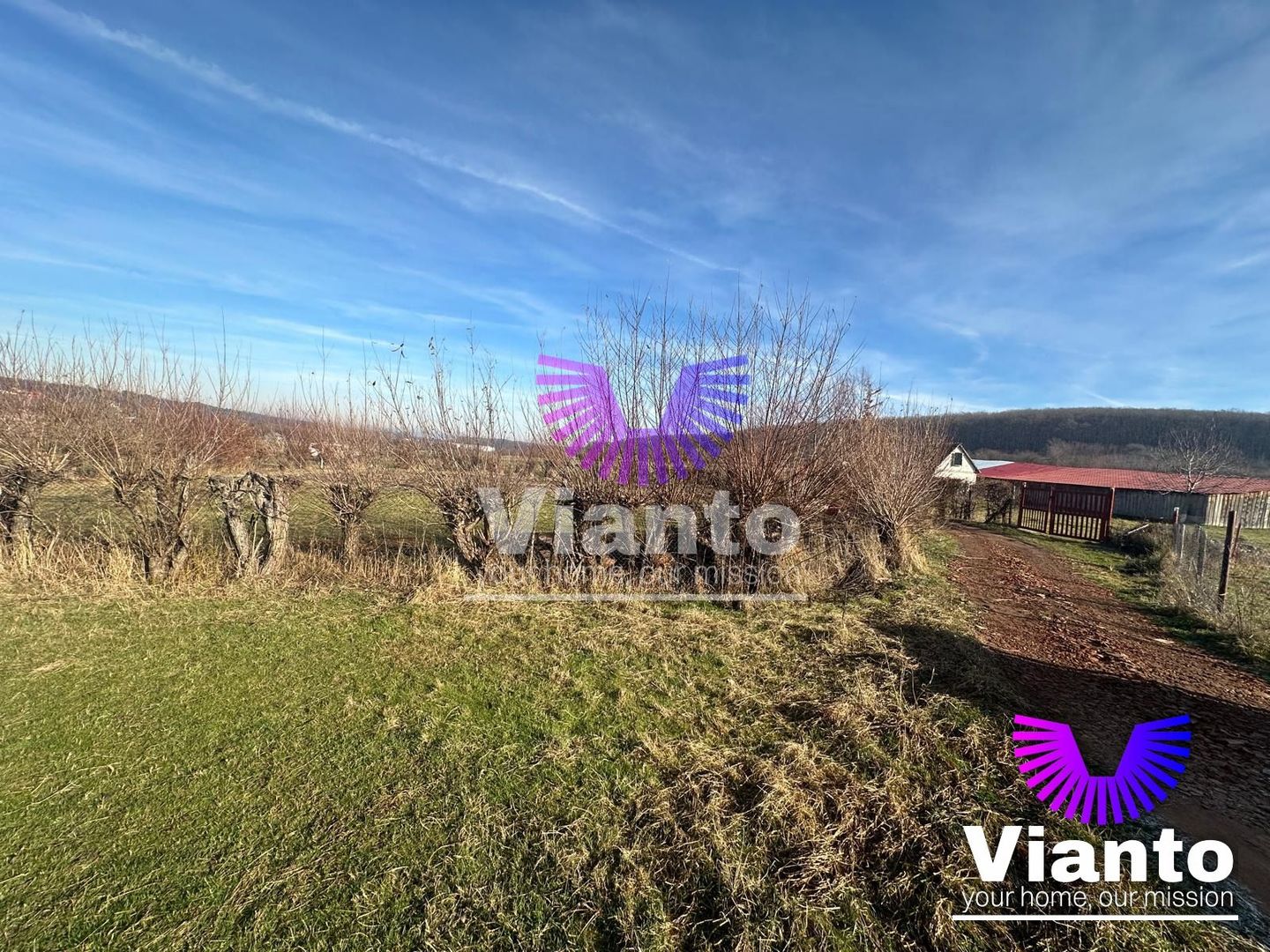 Teren intravilan 500 mp in Rasinari